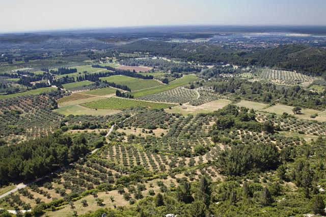 048 Les Baux de Provence, Olijfbomen.jpg